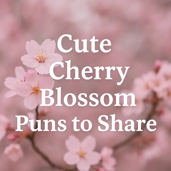 Cute Cherry Blossom Puns To Share