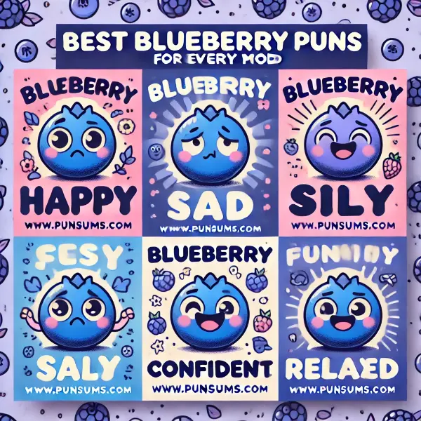 best-blueberry-puns-for-every-mood