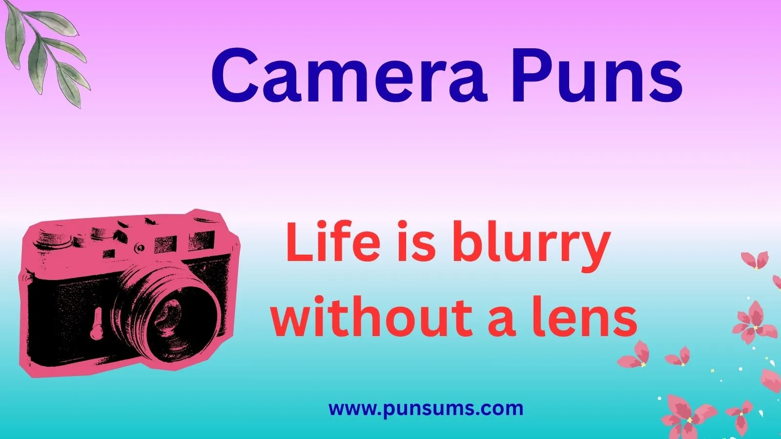 Camera Puns