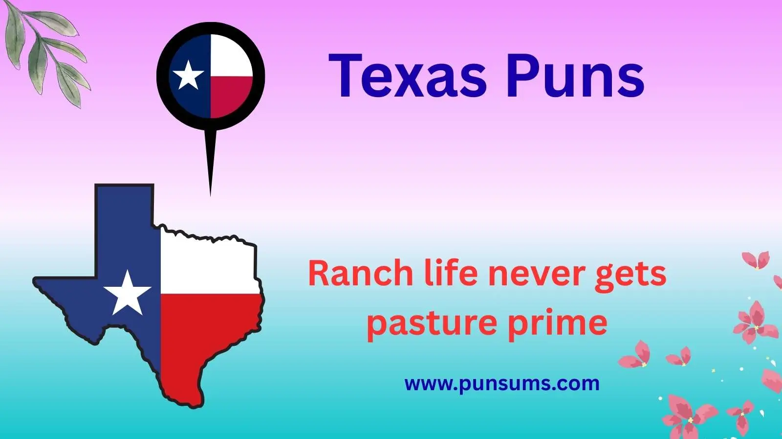 Texas Puns