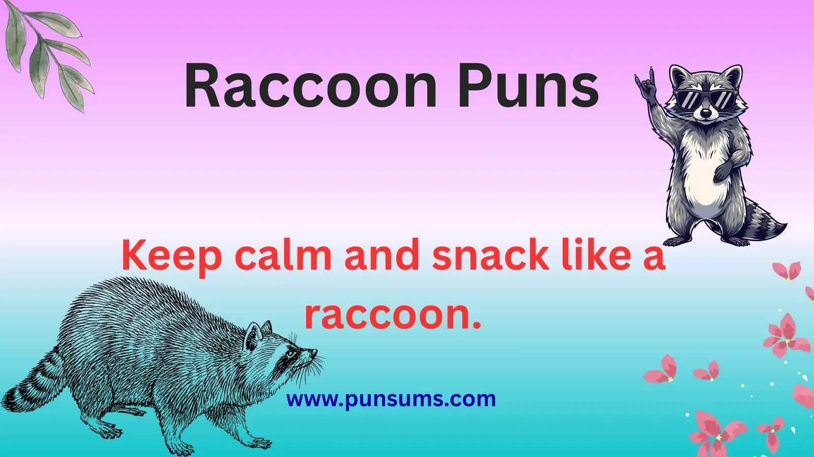 Raccoon Puns