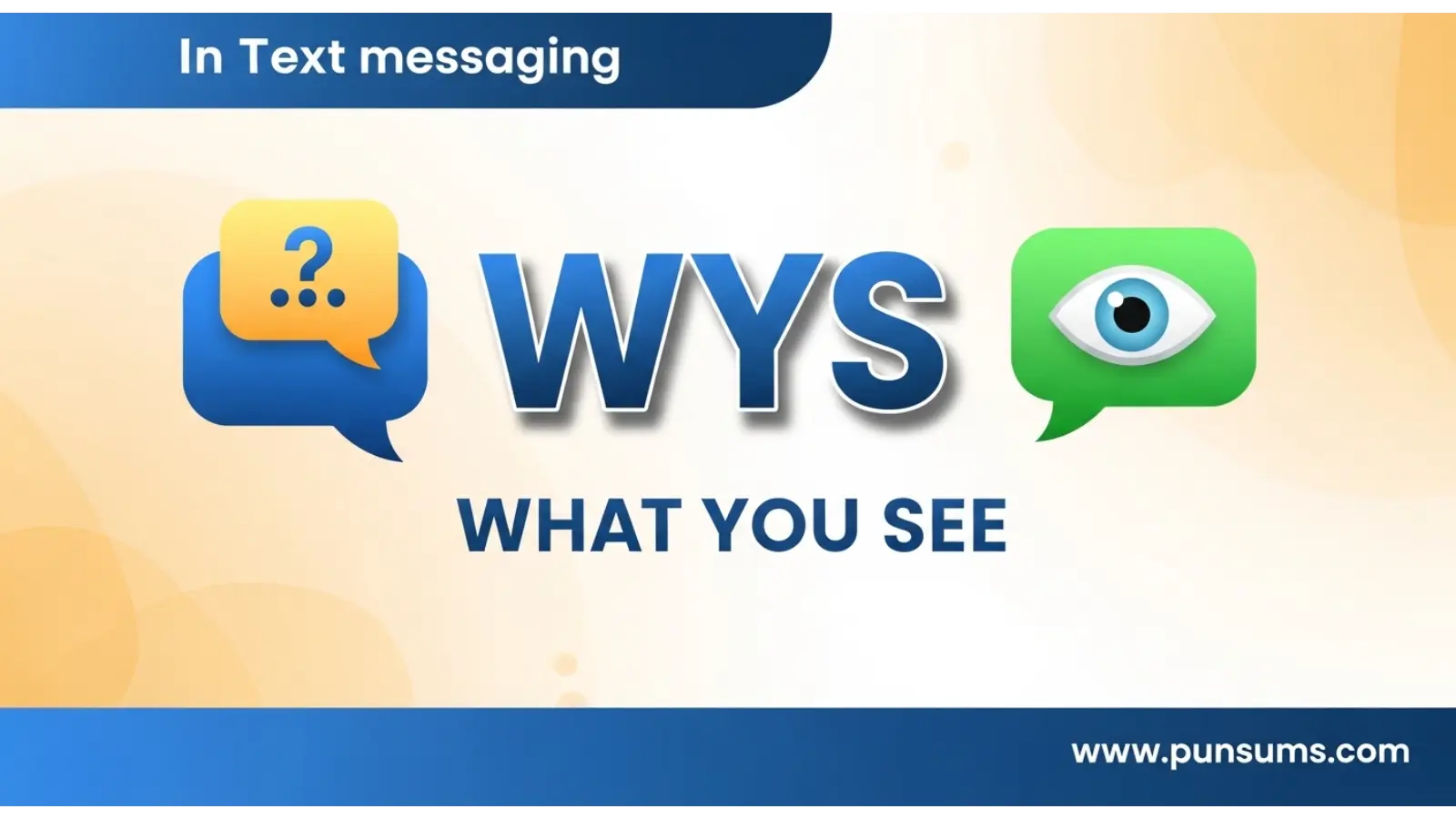 wys mean in text